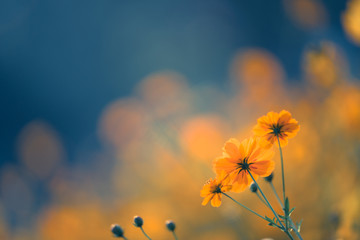 厦门金山二手市场