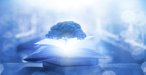 十大笔记本排名