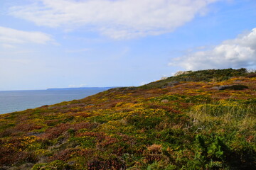 二手苹果笔记本macbook卖多少钱