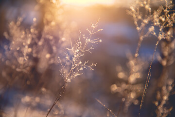 在昆明地区配置2000-2500的电脑能玩魔兽世界就好