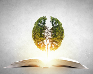 十大笔记本排名