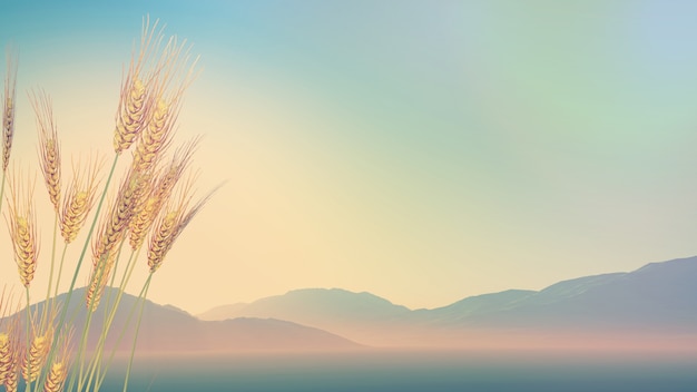 夏威夷是哪个国家的旅游胜地