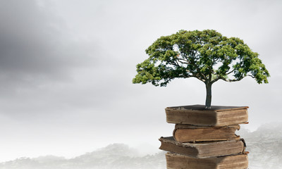 夏威夷是哪个国家的旅游胜地