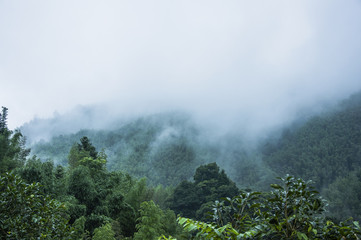 十大耐用笔记本排行榜